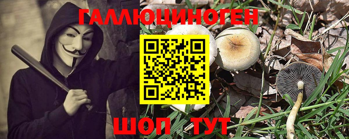 Псилоцибиновые грибы MAGIC MUSHROOMS Североуральск